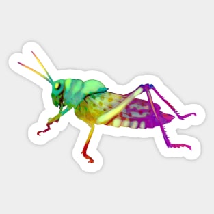 Colorful Grasshopper Sticker